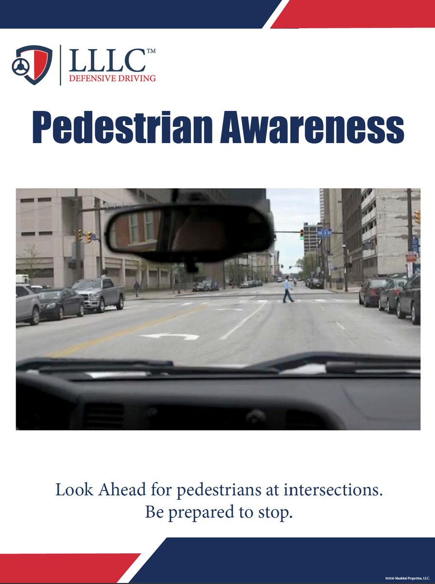 LLLC - Pedestrian Awareness – LLLC Marketplace